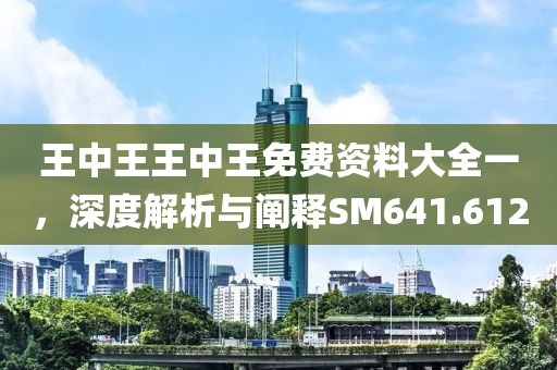 王中王王中王免费资料大全一，深度解析与阐释SM641.612