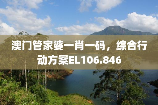 澳门管家婆一肖一码，综合行动方案EL106.846