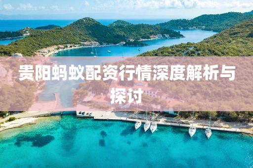 贵阳蚂蚁配资行情深度解析与探讨