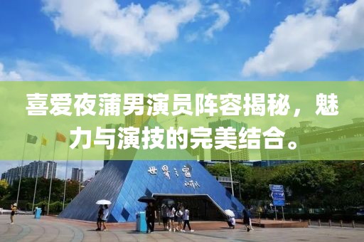 喜爱夜蒲男演员阵容揭秘，魅力与演技的完美结合。
