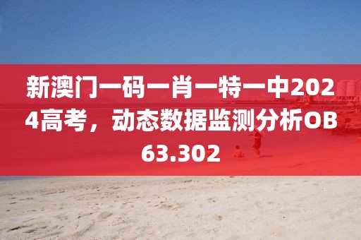 新澳门一码一肖一特一中2024高考，动态数据监测分析OB63.302