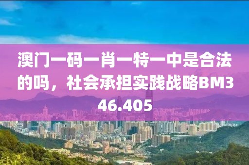 澳门一码一肖一特一中是合法的吗，社会承担实践战略BM346.405