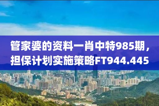 管家婆的资料一肖中特985期，担保计划实施策略FT944.445