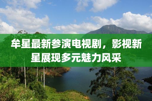 摆高姿态 第5页