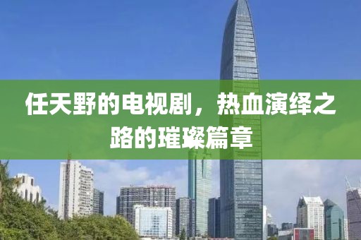 任天野的电视剧，热血演绎之路的璀璨篇章
