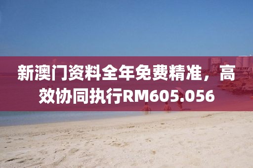 新澳门资料全年免费精准，高效协同执行RM605.056