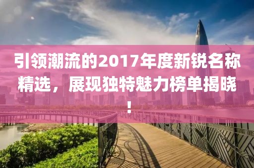 引领潮流的2017年度新锐名称精选，展现独特魅力榜单揭晓！