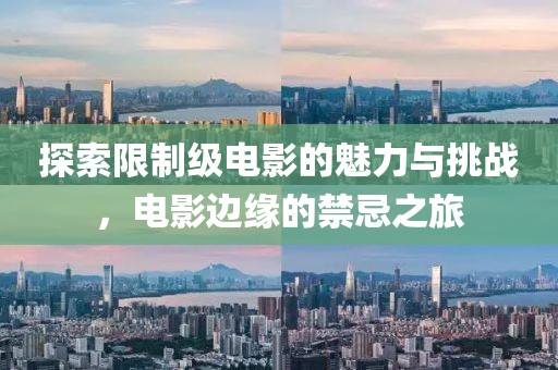 探索限制级电影的魅力与挑战，电影边缘的禁忌之旅