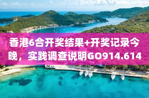 香港6合开奖结果+开奖记录今晚，实践调查说明GO914.614