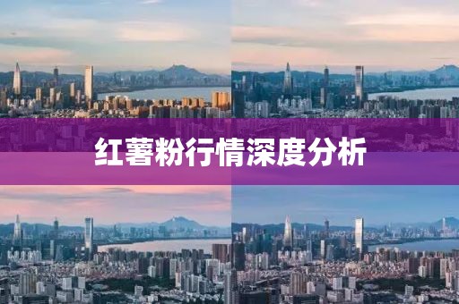 红薯粉行情深度分析