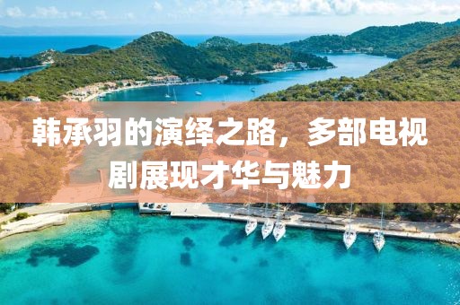 韩承羽的演绎之路，多部电视剧展现才华与魅力