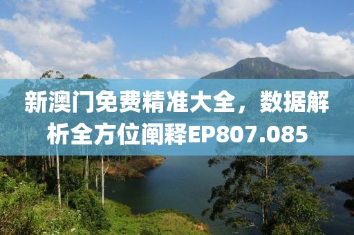新澳门免费精准大全，数据解析全方位阐释EP807.085
