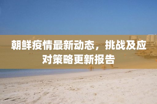 朝鲜疫情最新动态，挑战及应对策略更新报告
