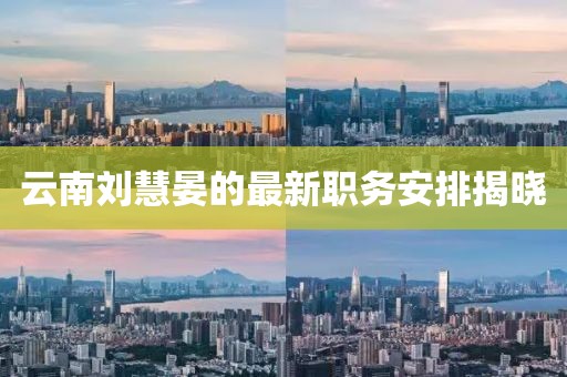 云南刘慧晏的最新职务安排揭晓