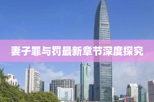 妻子罪与罚最新章节深度探究