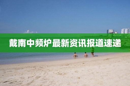 戴南中频炉最新资讯报道速递