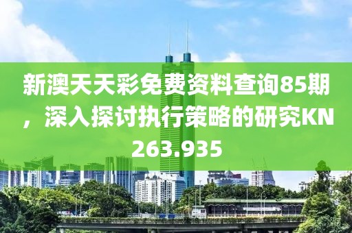 新澳天天彩免费资料查询85期，深入探讨执行策略的研究KN263.935
