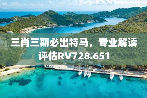 三肖三期必出特马，专业解读评估RV728.651