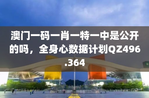 澳门一码一肖一特一中是公开的吗，全身心数据计划QZ496.364