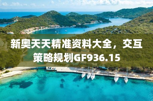 新奥天天精准资料大全，交互策略规划GF936.15