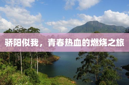 骄阳似我，青春热血的燃烧之旅