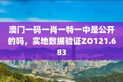 澳门一码一肖一特一中是公开的吗，实地数据验证ZO121.683