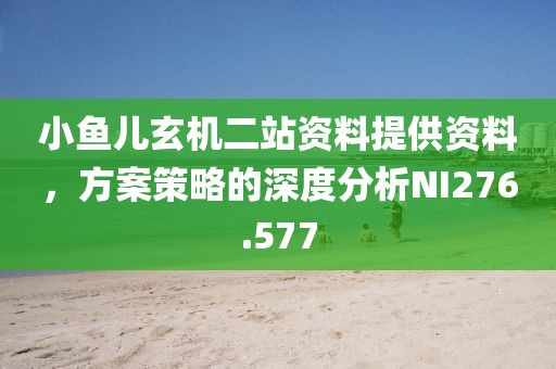 小鱼儿玄机二站资料提供资料，方案策略的深度分析NI276.577