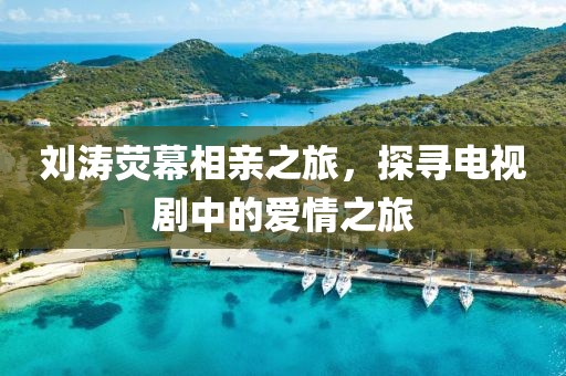 刘涛荧幕相亲之旅，探寻电视剧中的爱情之旅