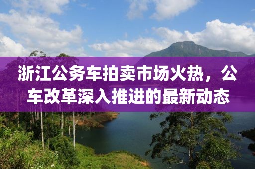 浙江公务车拍卖市场火热，公车改革深入推进的最新动态