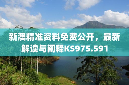 新澳精准资料免费公开，最新解读与阐释KS975.591