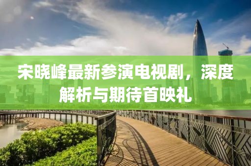 宋晓峰最新参演电视剧，深度解析与期待首映礼
