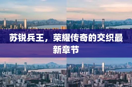 苏锐兵王，荣耀传奇的交织最新章节
