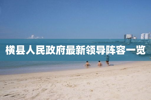 横县人民政府最新领导阵容一览