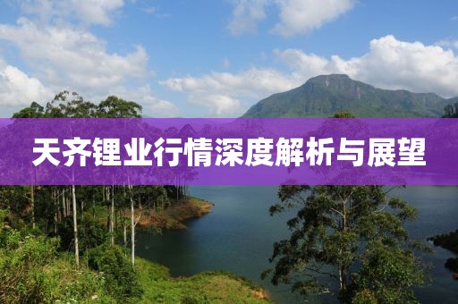 天齐锂业行情深度解析与展望