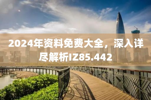 2024年资料免费大全，深入详尽解析IZ85.442