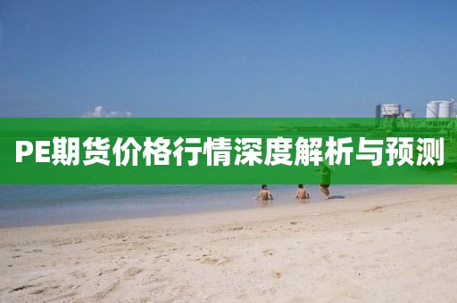 PE期货价格行情深度解析与预测
