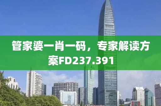 管家婆一肖一码，专家解读方案FD237.391
