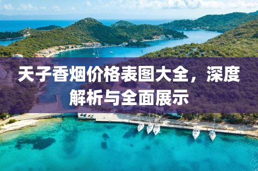 天子香烟价格表图大全，深度解析与全面展示