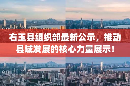 右玉县组织部最新公示，推动县域发展的核心力量展示！