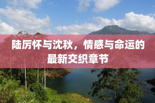 陆厉怀与沈秋，情感与命运的最新交织章节