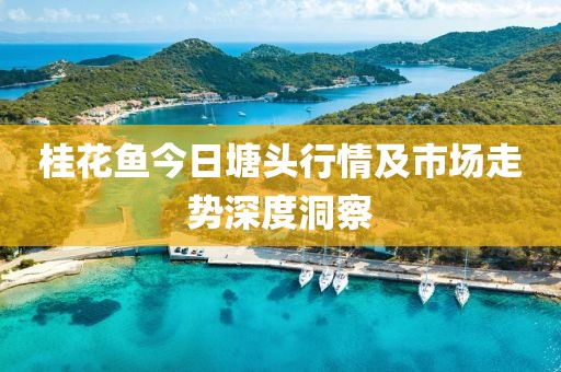 桂花鱼今日塘头行情及市场走势深度洞察
