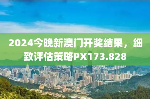 2024今晚新澳门开奖结果，细致评估策略PX173.828