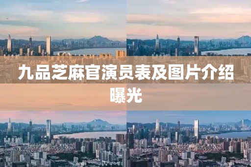 九品芝麻官演员表及图片介绍曝光