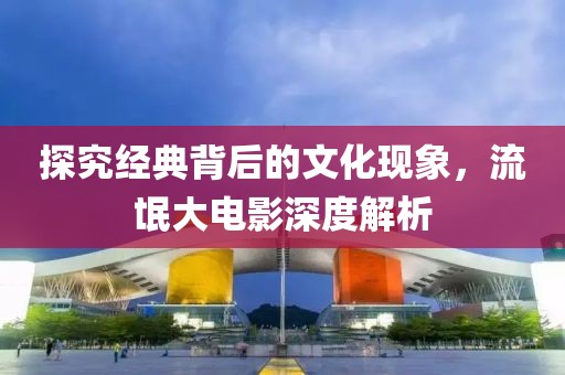 探究经典背后的文化现象，流氓大电影深度解析