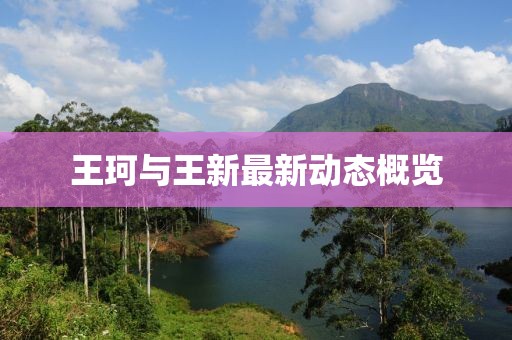 王珂与王新最新动态概览