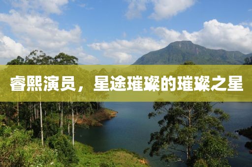 睿熙演员，星途璀璨的璀璨之星