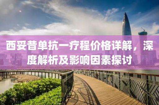 西妥昔单抗一疗程价格详解，深度解析及影响因素探讨