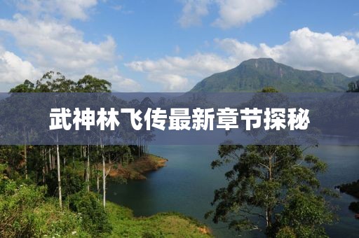 武神林飞传最新章节探秘