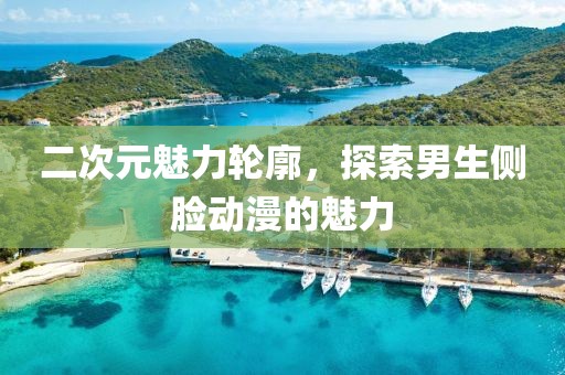 二次元魅力轮廓，探索男生侧脸动漫的魅力