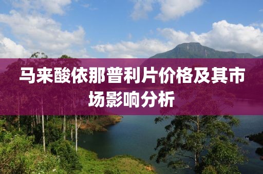 马来酸依那普利片价格及其市场影响分析